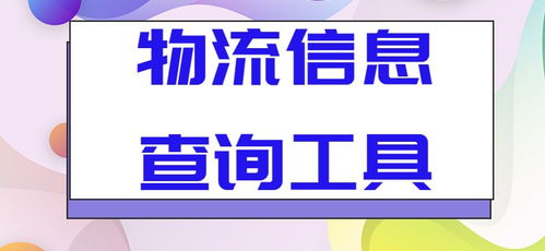 高效導出批量物流信息至表格 一站式信息咨詢服務指南